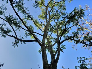 CERET Recreational Club - Large park with a sports complex that includes a swimming pool and football and rugby fields. There is also a tennis court,  Children's playground