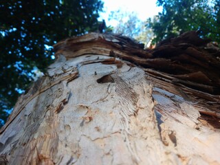 CERET Recreational Club - Large park with a sports complex that includes a swimming pool and football and rugby fields. There is also a tennis court,  Children's playground