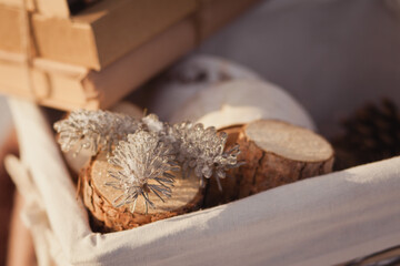 Fototapeta na wymiar Vintage winter floral composition with books, basket with cones, birch saw cuts. Winter floristic