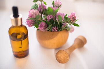 Clover or trefoil flower medicinal herbs. Red clover Flowers collected in meadow in a wooden mortar. Preparation of elixirs or medicines from medicinal herbs by herbalists