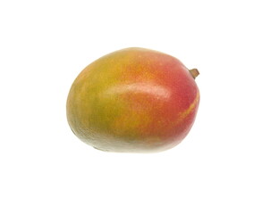 Mango,  fruit of flowering plant genus Mangifera,  national fruit of India, isolated on white background