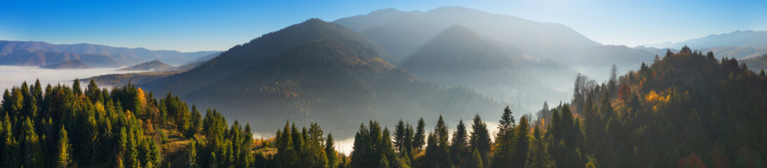 The rays of the sun in the autumn misty forest.