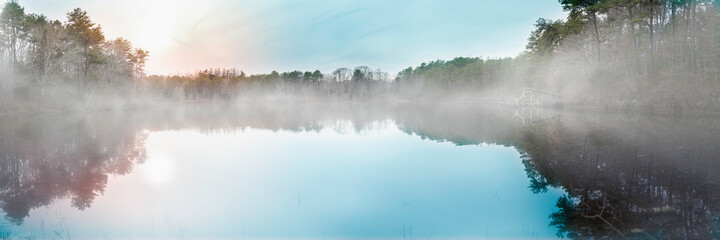 Étang brumeux paisible à l& 39 aube sur Cape Cod. Le soleil éclatant et la forêt de pins se reflètent sur le lac.