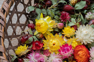 カラフルな花の壁紙素材
