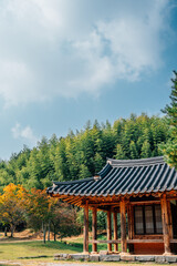 Fototapeta na wymiar Juknokwon bamboo forest and Korean traditional house at autumn in Damyang, Korea