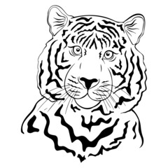 vector doodle tiger, cute tiger