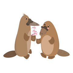 Cute cartoon platypus, vector cute animal