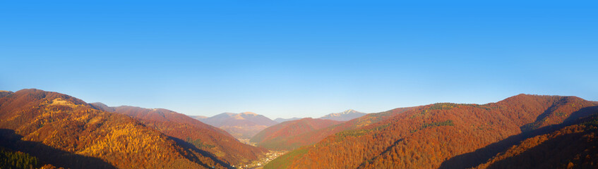 Fototapeta na wymiar Autumn deciduous forest top view, natural background or texture.