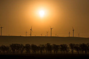 Wind farm landscape. At sunrise.