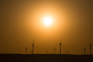 Obraz premium Wind farm landscape. At sunrise.
