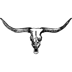 Longhorn skull SVG design, bull skull, cow skull, farmhouse decor, Wild West and cowboy drawing - obrazy, fototapety, plakaty