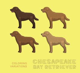 Dog Chesapeake Bay Retriever Coloring Variations Cartoon Vector Illustration