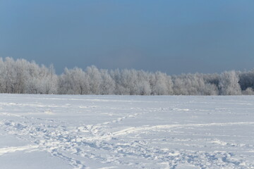 Fototapeta na wymiar Snow covered meadow and forest in the distance on a clear sunny winter day 
