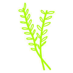 green plant isolated on white