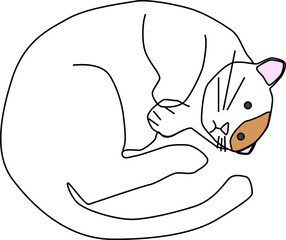 丸くなる可愛い猫の親子のイラスト素材 Wall Mural Wallpaper Murals Lgnelbd3uylm