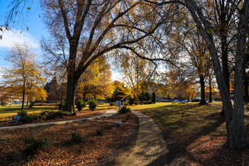 a stunning autumn landscape in the park with grass covered with fallen autumn leaves and gorgeous...