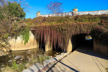 a shot of a walking trail along Little Sugar Creek with a tunnel covered with lush green and red...