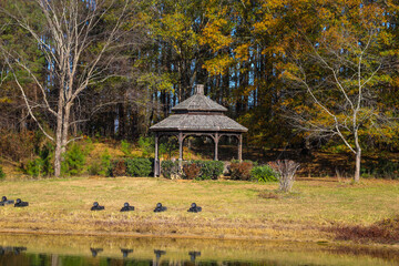 a brown wooden gazebo surrounded by a gorgeous autumn landscape with yellow autumn grass and autumn...
