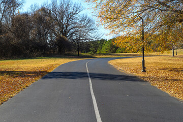 a curve black street with a white line in the center surrounded by autumn landscape with green and...
