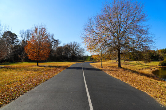 a curve black street with a white line in the center surrounded by autumn landscape with green and autumn colored trees and plants and fallen autumn leaves at Daniel Stowe Botanical Garden in Belmont 