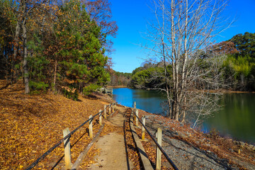 a stunning shot of still river water with lush green and autumn colored trees reflecting off the...