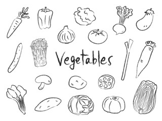 野菜　ベジタブル　手描きイラスト