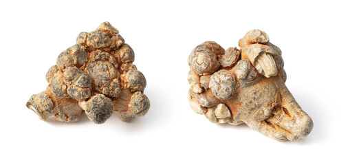 Dried notoginseng isolated on white background