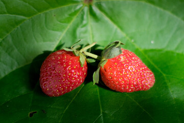 strawberry on green leaf