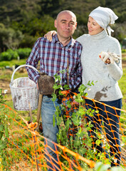 Fototapeta premium Happy couple with garden tools in garden. High quality photo