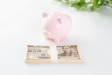 豚の貯金箱とお金のイメージ01