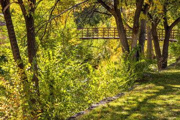 Obraz premium Early Autumn