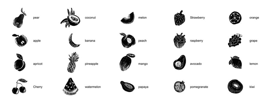 Fruits and berries abstract illustration. Flat vector. Fruit icons, drawn white and black style.