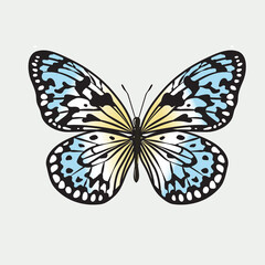 Obraz na płótnie Canvas beautiful colorful butterfly vector