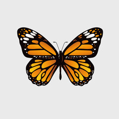 Monarch butterfly vector illustration