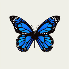 beautiful colorful butterfly vector