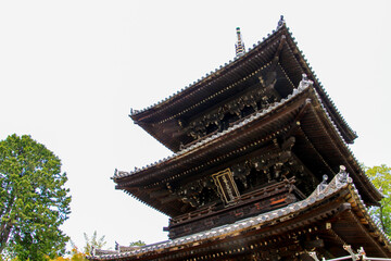 Fototapeta premium 金戒光明寺