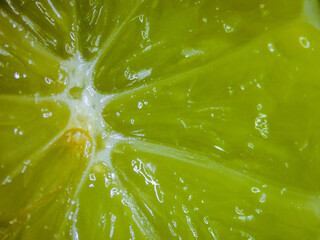 Lemon slice detail made with macrophoto. Photography made with a digital microscope.