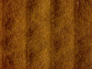 Detail of cardboard cellulose fibers. Photography made with a digital microscope.