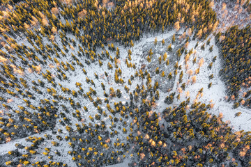 Forest in winter, trees among the snow, a view from a height of the winter mountain forests. Winter landscape