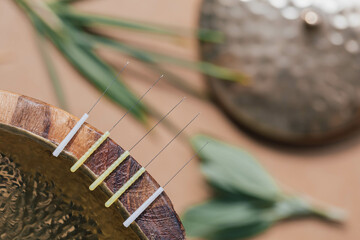 Macro photograph of five needles used in acupuncture therapy arranged on the rim of a wooden bowl. Focus on the foreground. Sage and bamboo branch and gold metal bowl lid in the background.Warm tones.