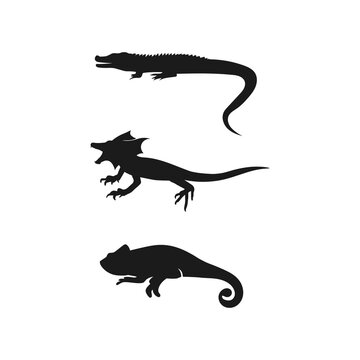 animal vector lizard salamander gecko crocodile and reptiles design logo