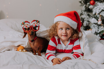 little girl in striped pajamas and a Santa hat and dog in funny glasses with Santa Claus are lying in bed on a white sheet against the background of Christmas tree. space for text. High quality photo