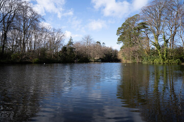 lake in the park