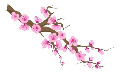 Cherry blossom tree branch with blooming flowers