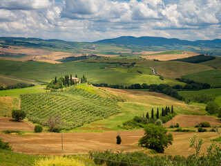 Típica imagen de la Toscana con colinas redondeadas en los que abundan las granjas rodeadas de cipreses.