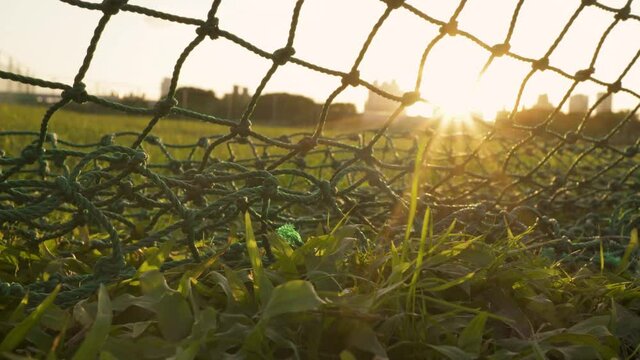 The protective net is in the baseball field.