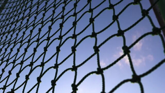 The protective net is in the baseball field.