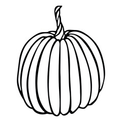 Vector hand drawn illustration of pumpkin. Isolated object on white background. Vegetable harvest clip art.  Farm market product. Elements for autumn design, decoration.