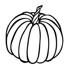 Vector hand drawn illustration of pumpkin. Isolated object on white background. Vegetable harvest clip art.  Farm market product. Elements for autumn design, decoration.