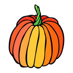 Vector hand drawn illustration of pumpkin. Isolated object on white background. Vegetable harvest clip art.  Farm market product. Elements for autumn design, decoration.